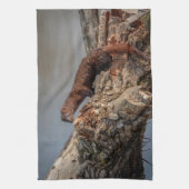 Amerikaanse gootsteen theedoek (Verticaal)