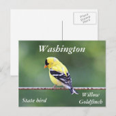 Amerikaanse goudfinefoto briefkaart (Voorkant / Achterkant)