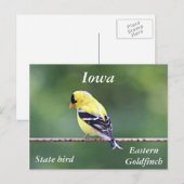 Amerikaanse goudfinefoto briefkaart (Voorkant / Achterkant)