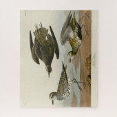 Amerikaanse Goudplevier, Audubon's Birds of Americ Legpuzzel (Verticaal)