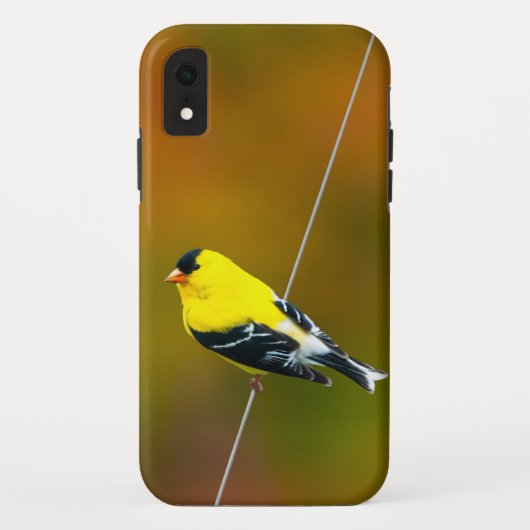 Amerikaanse Goudvink - Originele Foto Case-Mate iPhone Case (Achterkant)