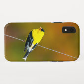 Amerikaanse Goudvink - Originele Foto Case-Mate iPhone Case (Achterkant (horizontaal))