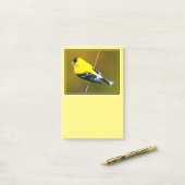 Amerikaanse Goudvink - Originele Foto Post-it® Notes (Op bureau)
