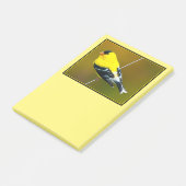 Amerikaanse Goudvink - Originele Foto Post-it® Notes (Schuin)