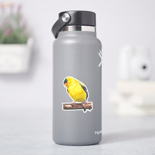 Amerikaanse goudvink Sticker (HydroFlask)