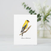 Amerikaanse goudvink vogel platte briefkaart (Staand voorkant)