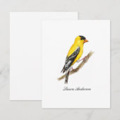 Amerikaanse goudvink vogel platte briefkaart (Voorkant / Achterkant)