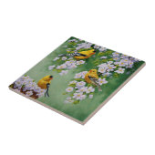 Amerikaanse goudvinken en roze appelbloesems tegeltje (Zijkant)