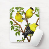 Amerikaanse goudvinken in de wijnsector Mousepad Muismat (Met muis)