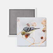 Amerikaanse goudvinkmagneet magneet (Voorkant / Achterkant)