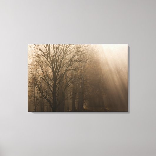 Amerikaanse Great Smoky Mountain NP Tennessee-bome Canvas Afdruk (Voorkant)