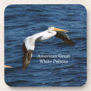 Amerikaanse Great White Pelican 6 plastic onderzet Bier Onderzetter