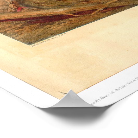 Amerikaanse grens (0021A) Poster (Hoek)