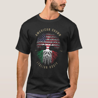 Amerikaanse Groene Italiaanse Roots Amerika vlag I T-shirt