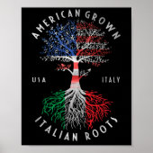 Amerikaanse Groene Italiaanse wortelen Italië Poster (Voorkant)