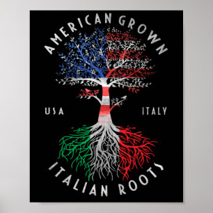Amerikaanse Groene Italiaanse wortelen Italië Poster