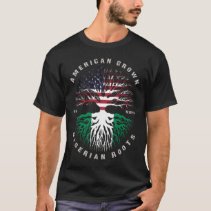 Amerikaanse Groene Nigeriaanse roet Nigeria vlag T-shirt