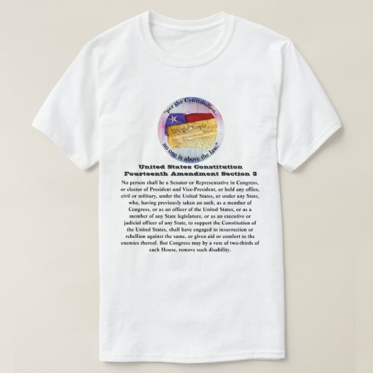 Amerikaanse grondwet Veertiende wijziging Afdeling T-shirt (Design voorkant)