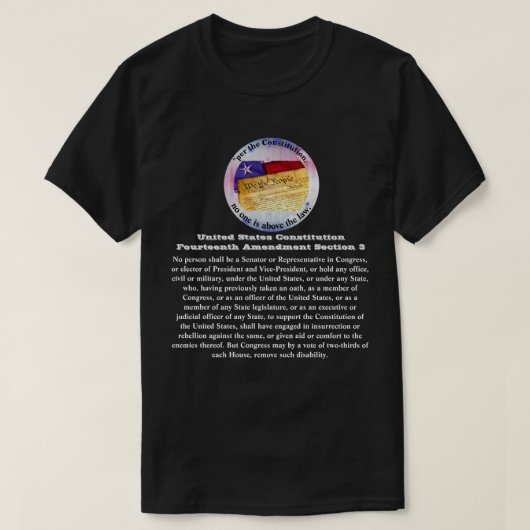 Amerikaanse grondwet Veertiende wijziging Afdeling T-shirt (Design voorkant)