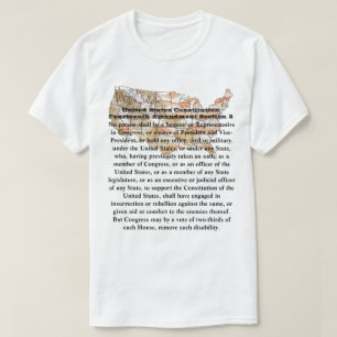 Amerikaanse grondwet Veertiende wijziging Afdeling T-shirt