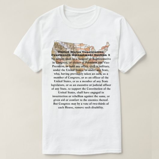 Amerikaanse grondwet Veertiende wijziging Afdeling T-shirt (Design voorkant)