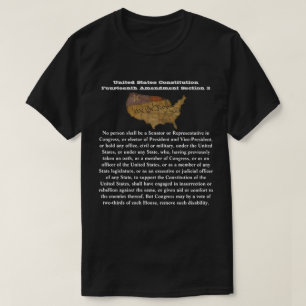 Amerikaanse grondwet Veertiende wijziging Afdeling T-shirt