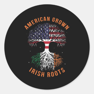 Amerikaanse Groot Irish Roots America Ierse vlag Ronde Sticker
