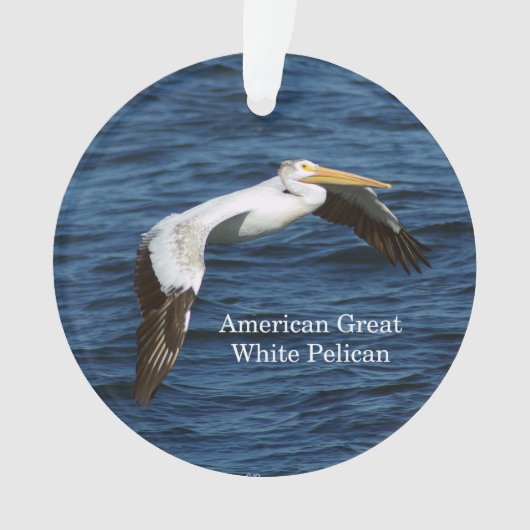 Amerikaanse grote witte pekelacrylversiering ornament (voorkant)