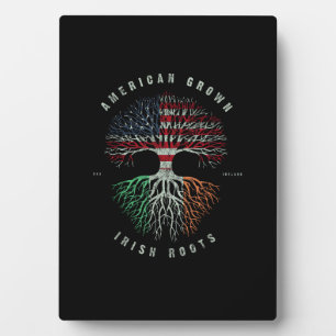 Amerikaanse Grown Irish Roots Ireland Flag Gr Fotoplaat