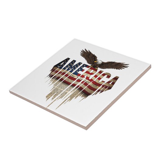 Amerikaanse grunge vlag en adelaar tegeltje (Zijkant)