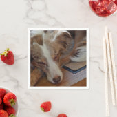 Amerikaanse herder Red Merle slaapt Servet (Insitu)