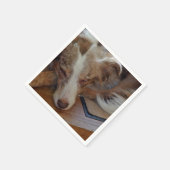 Amerikaanse herder Red Merle slaapt Servet (Hoek)