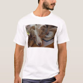Amerikaanse herder Red Merle slaapt T-shirt (Voorkant)