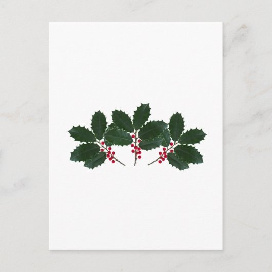 Amerikaanse Holly Leaves - Berries Briefkaart (Voorkant)