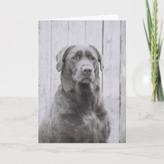 Amerikaanse hond kaart (Voorkant)