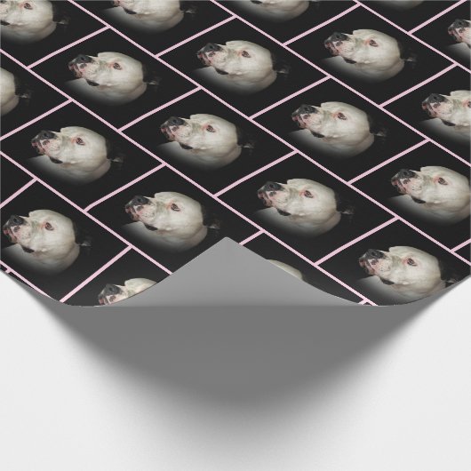 Amerikaanse hond op zwart cadeaupapier (Hoek)