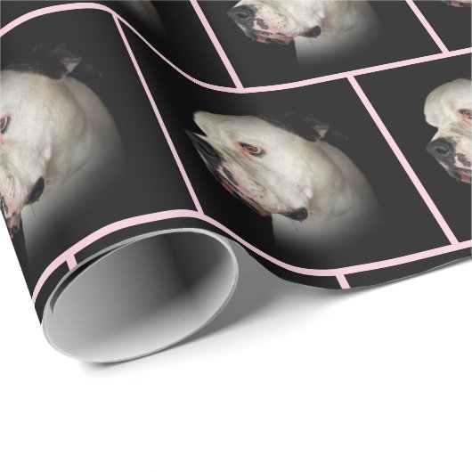 Amerikaanse hond op zwart cadeaupapier (Rol Hoek)