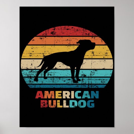  Amerikaanse hond Poster (Voorkant)