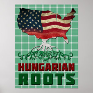 Amerikaanse Hongaarse rots Poster print