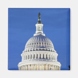 Amerikaanse hoofdkoepel magneet