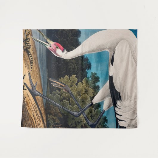 Amerikaanse Hooping Crane van Audubon Wandkleed (Voorkant (horizontaal))