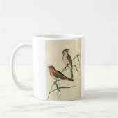 Amerikaanse House Finch Koffiemok (Links)