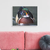 Amerikaanse Hout Eend Gewikkeld Canvas Afdruk (Insitu (Woonkamer))