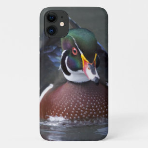 Amerikaanse Hout Eend iPhone 11 Hoesje