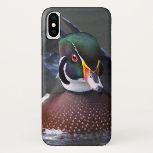 Amerikaanse Hout Eend iPhone X Hoesje (Achterkant)