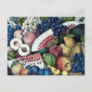Amerikaanse  illustratie van fruit briefkaart