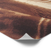 AMERIKAANSE INDIAANSE CHIEF HISTORISCHE FOTOGRAFIE POSTER (Hoek)