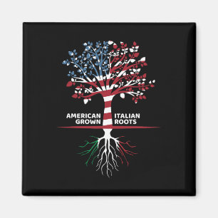 Amerikaanse Italiaanse roots op 4 juli Magneet