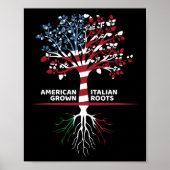 Amerikaanse Italiaanse roots op 4 juli Poster (Voorkant)