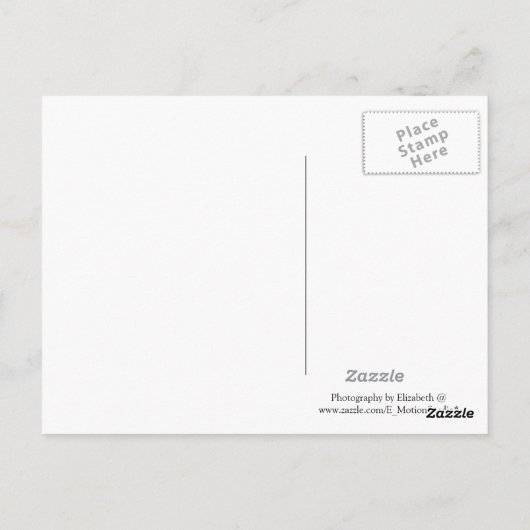 Amerikaanse Kaart (Achterkant)